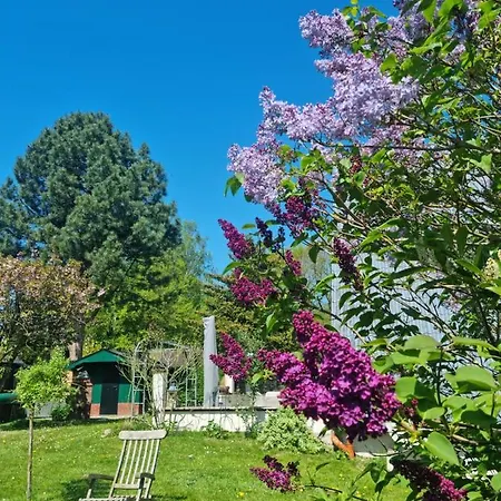 Haus Viking * Brodersby-Goltoft