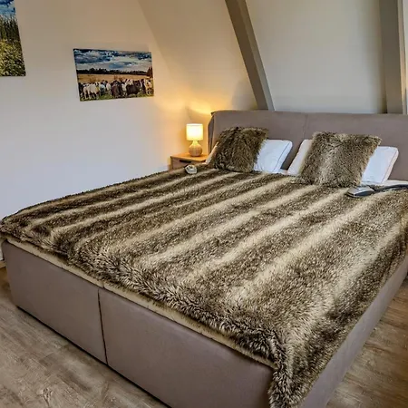 Haus Viking Dom wakacyjny Brodersby-Goltoft